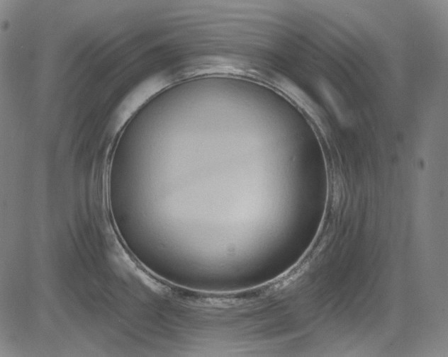 X0000085321290200703091502
