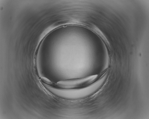 X0000085321292200703091502