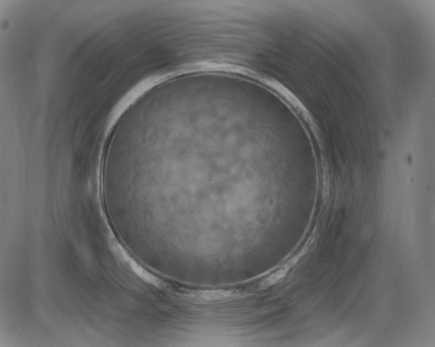 X0000085321294200703091502