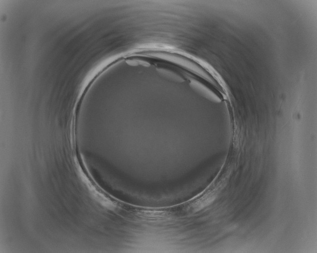 X0000085321295200703091502
