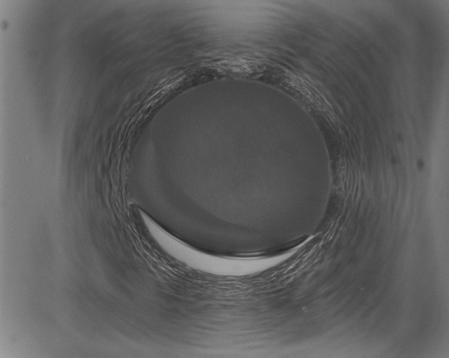 X0000085321297200703091501