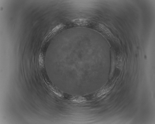 X0000085321298200703091501