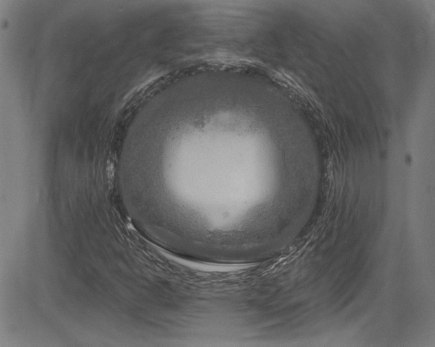X0000085321302200703091501