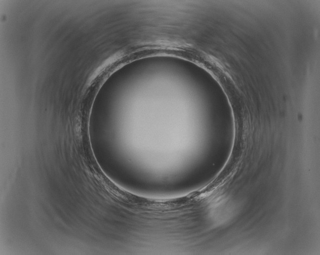 X0000085321307200703091501