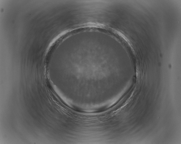 X0000085321310200703091501