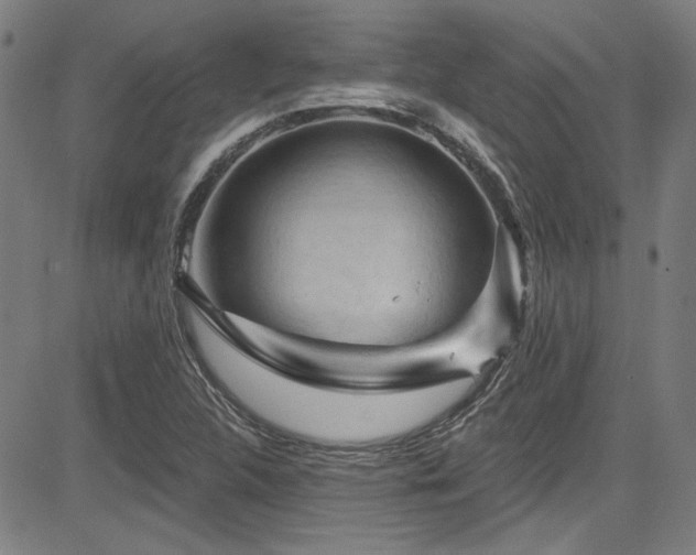 X0000085321312200703091501