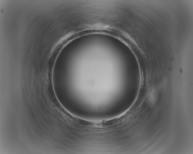 X0000085321315200703091501