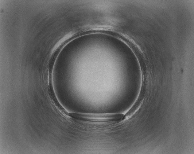 X0000085321317200703091501