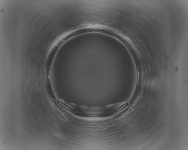 X0000085321319200703091501