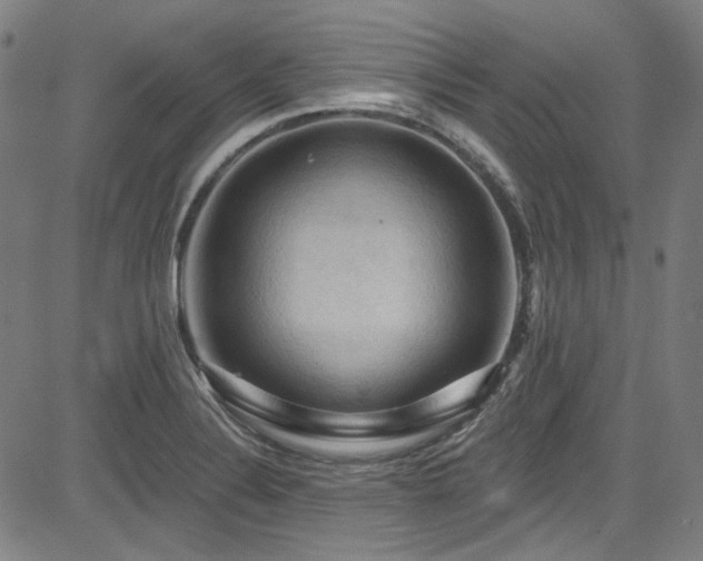 X0000085321324200703091501