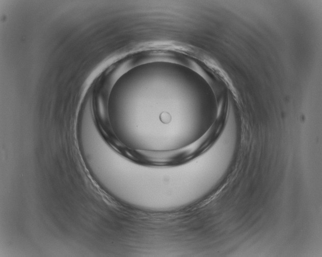 X0000085321328200703091501