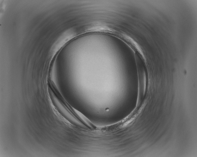 X0000085321330200703091501