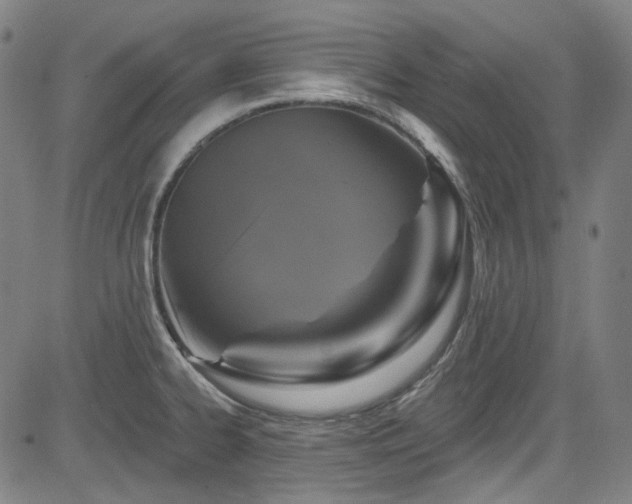 X0000085321334200703091501
