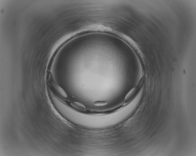X0000085321335200703091501