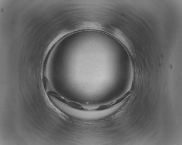 X0000085321339200703091502
