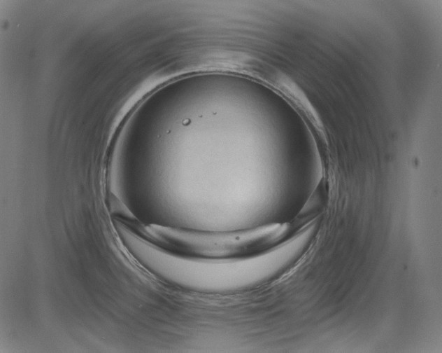 X0000085321340200703091502