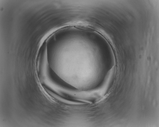 X0000085321344200703091502