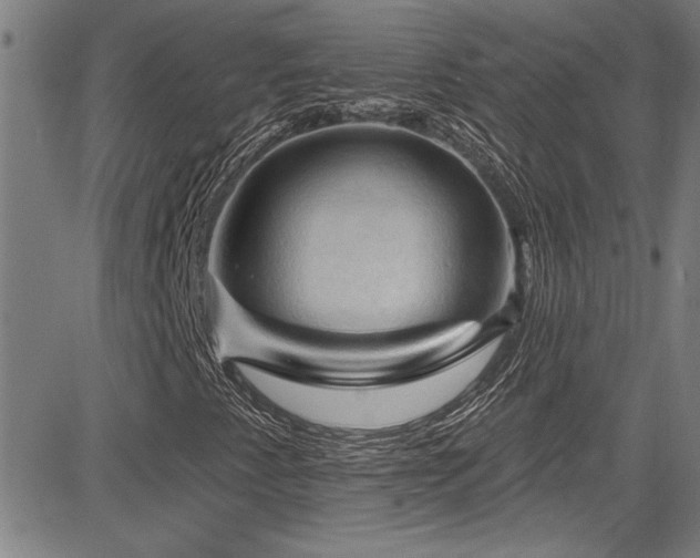 X0000085321345200703091501
