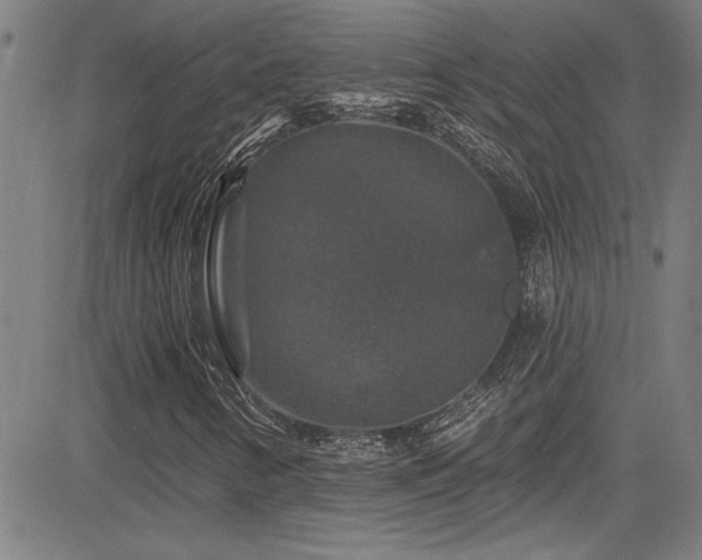 X0000085321346200703091501