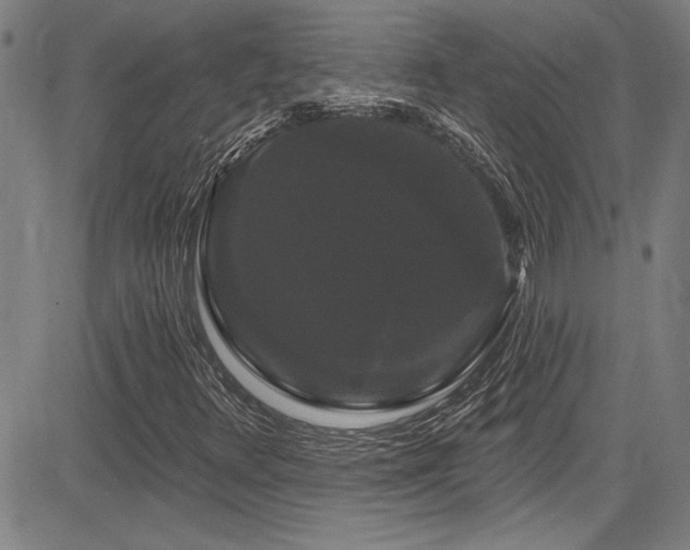 X0000085321348200703091501