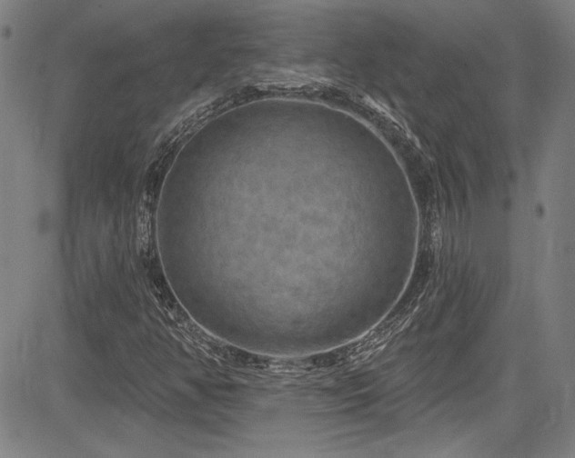 X0000085321350200703091501