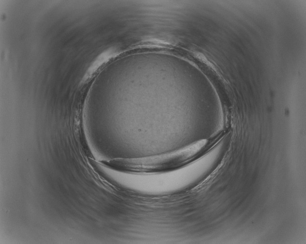 X0000085321355200703091501