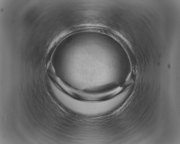 X0000085321357200703091501