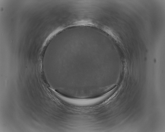 X0000085321358200703091501