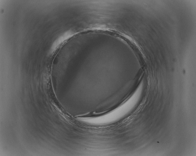 X0000085321359200703091501