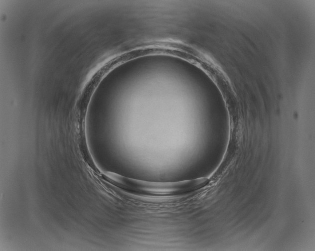 X0000085321360200703091501