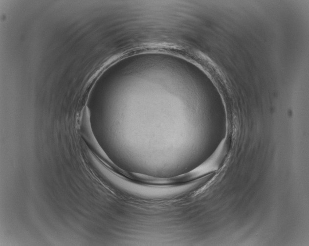 X0000085321361200703091500