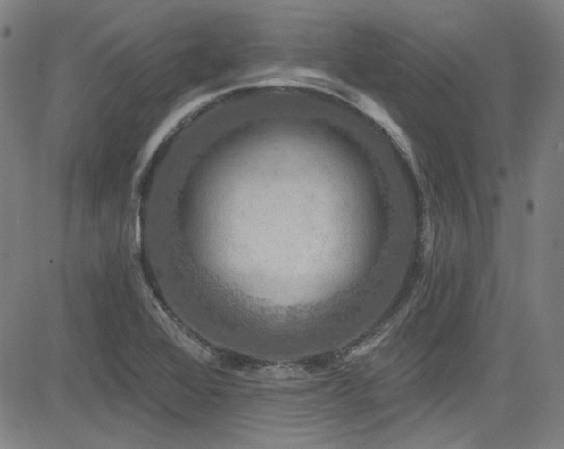 X0000085321368200703091500