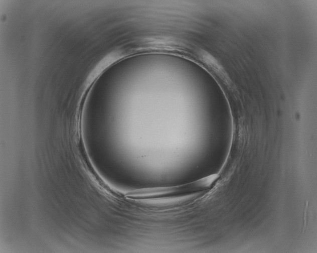 X0000085321370200703091500