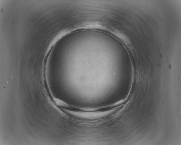 X0000085321374200703091500