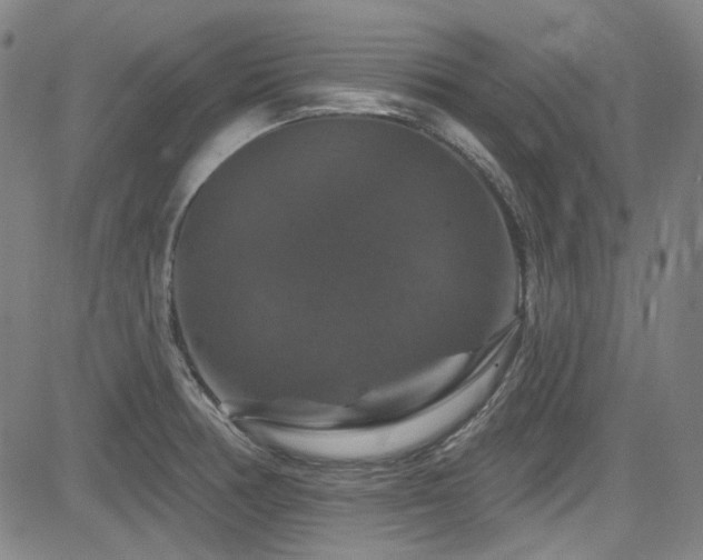X0000085321378200703091500