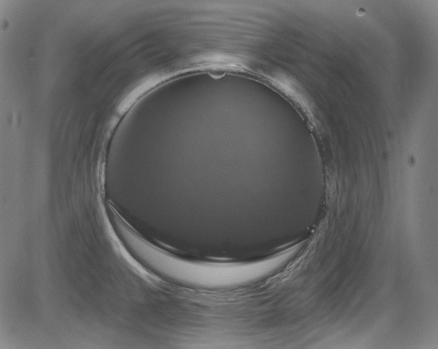 X0000085321383200703091500