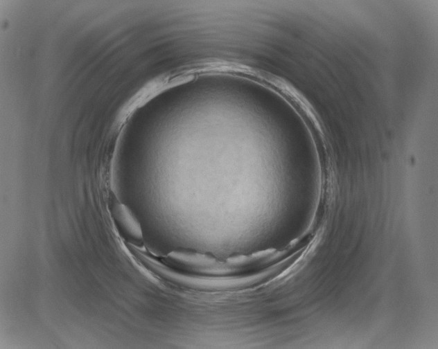 X0000085321385200703091500
