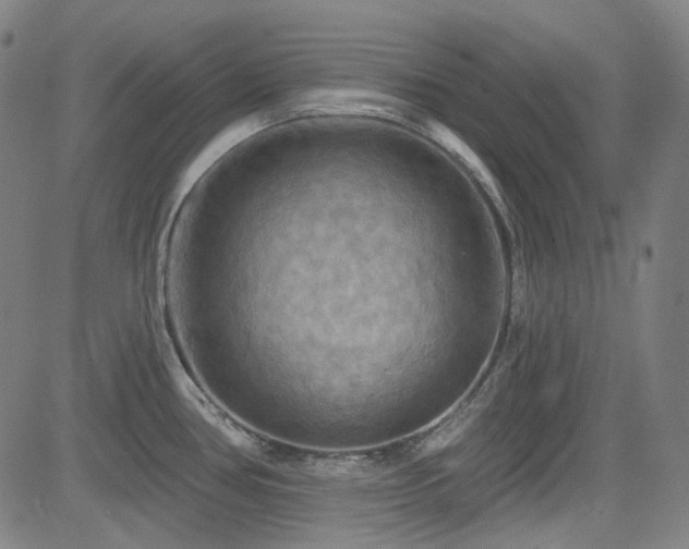 X0000085321386200703091500