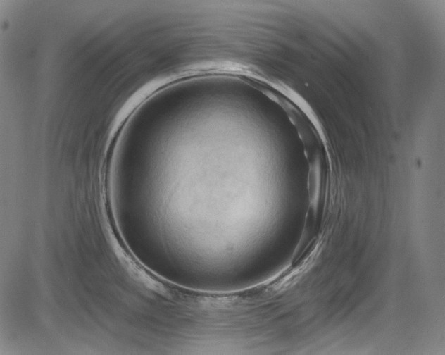 X0000085321389200703091500