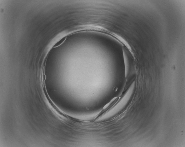 X0000085321391200703091500