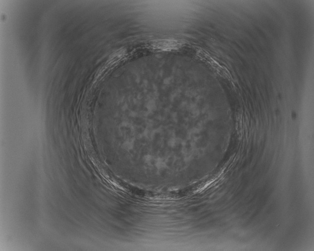 X0000085321393200703091459