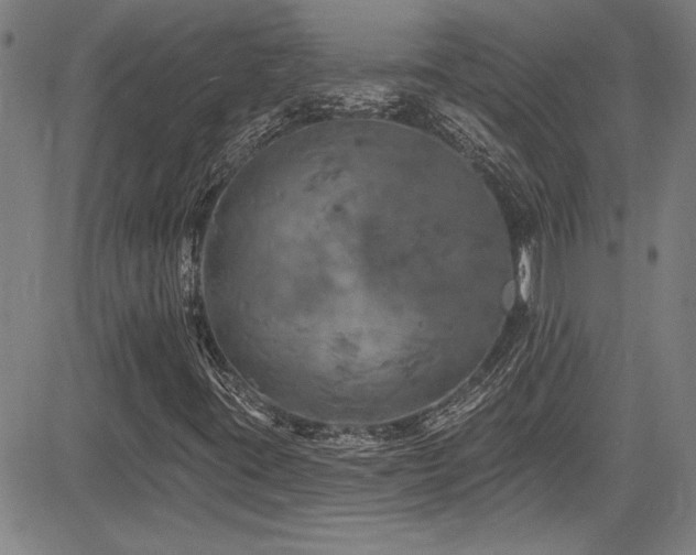 X0000085321395200703091459