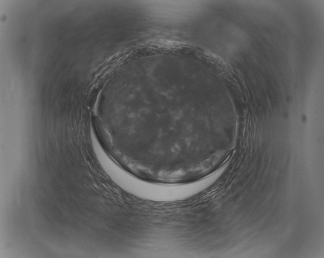 X0000085321397200703091459