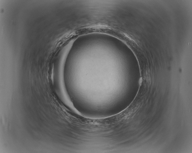 X0000085321398200703091459