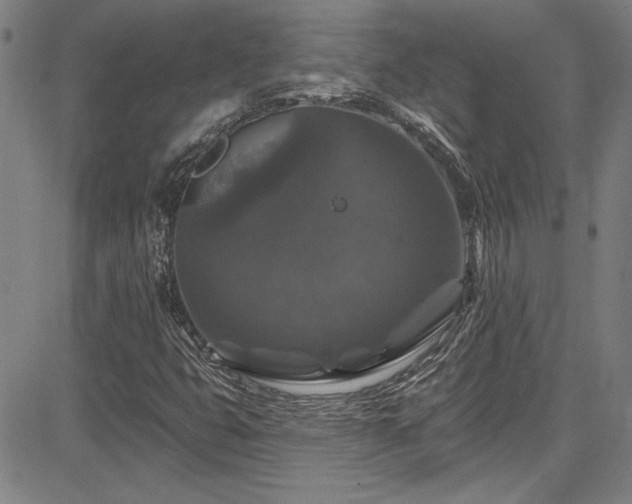 X0000085321399200703091459