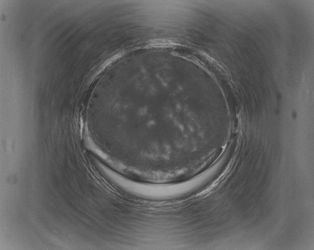 X0000085321401200703091459