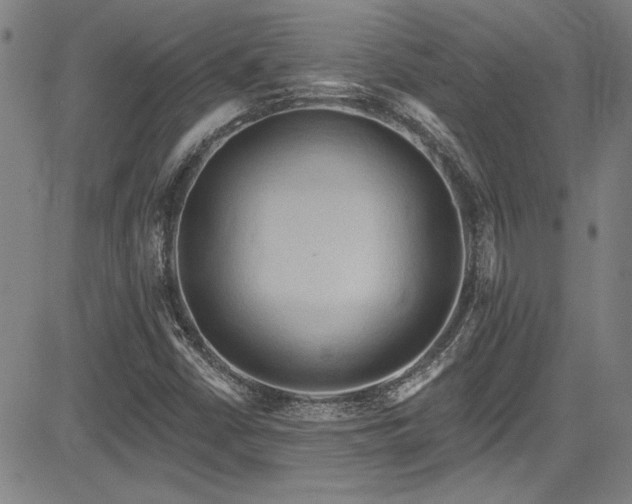 X0000085321402200703091459