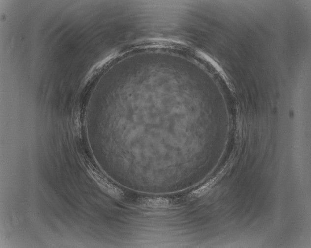X0000085321403200703091459