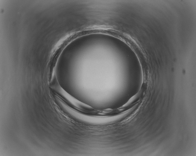 X0000085321406200703091459