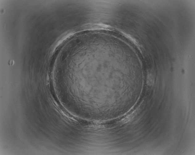 X0000085321407200703091459